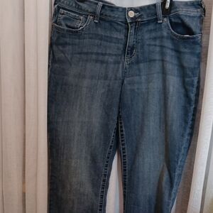 MAURICES Women’s Blue Denim Jeans